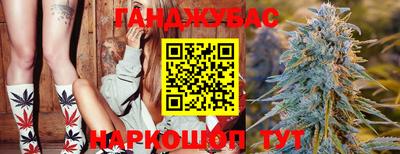 скорость Новозыбков