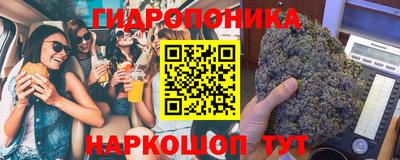 мяу мяу мука Новодвинск